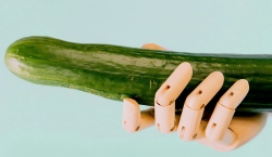 Penis Mapping – De geheime kaart van plezier