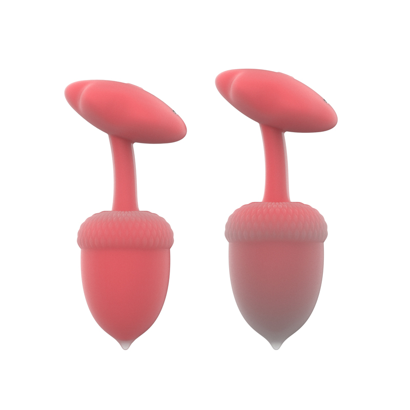 Draagbare dennenvibrator